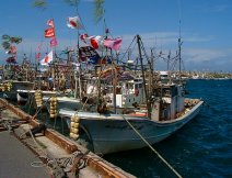 Misawa Port Festival